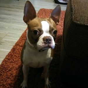 Meet your Posher, Alexia